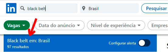 Black Belt Linkedin Vagas